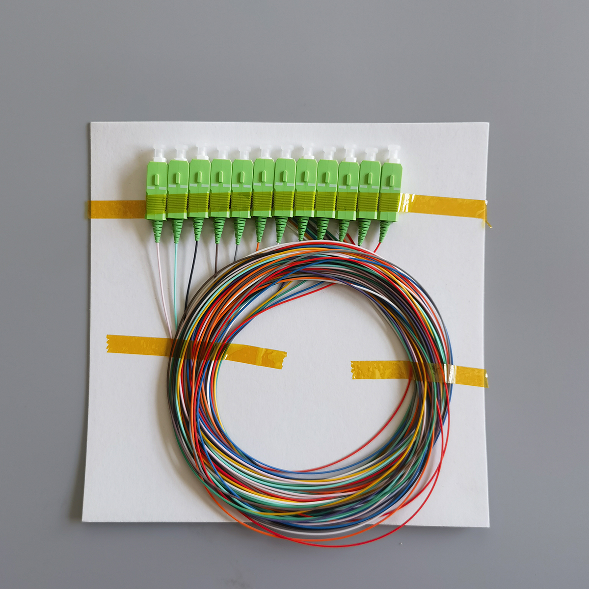 FTTH Fiber Optic Network Pigtail Cable 12-Core Single Mode SC/APC 2M 0.9mm Indoor Patchcord